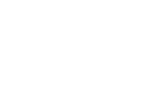 Summer Fest